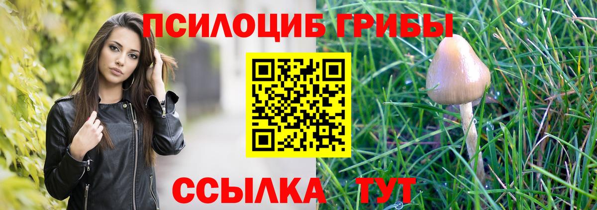 Псилоцибиновые грибы Psilocybe  Вход с VPN  Киселёвск  Псилоцибиновые грибы MAGIC MUSHROOMS 